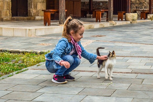 Как да избегнете „електрошока“, когато галите котката си?